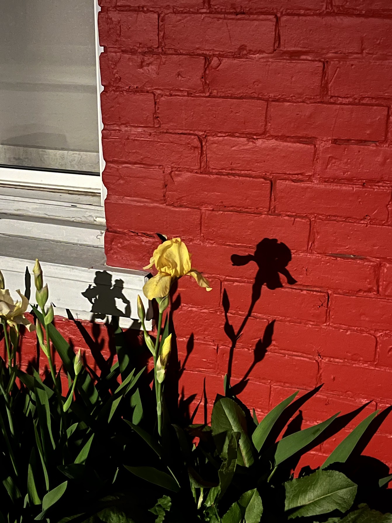 A Long Shadow