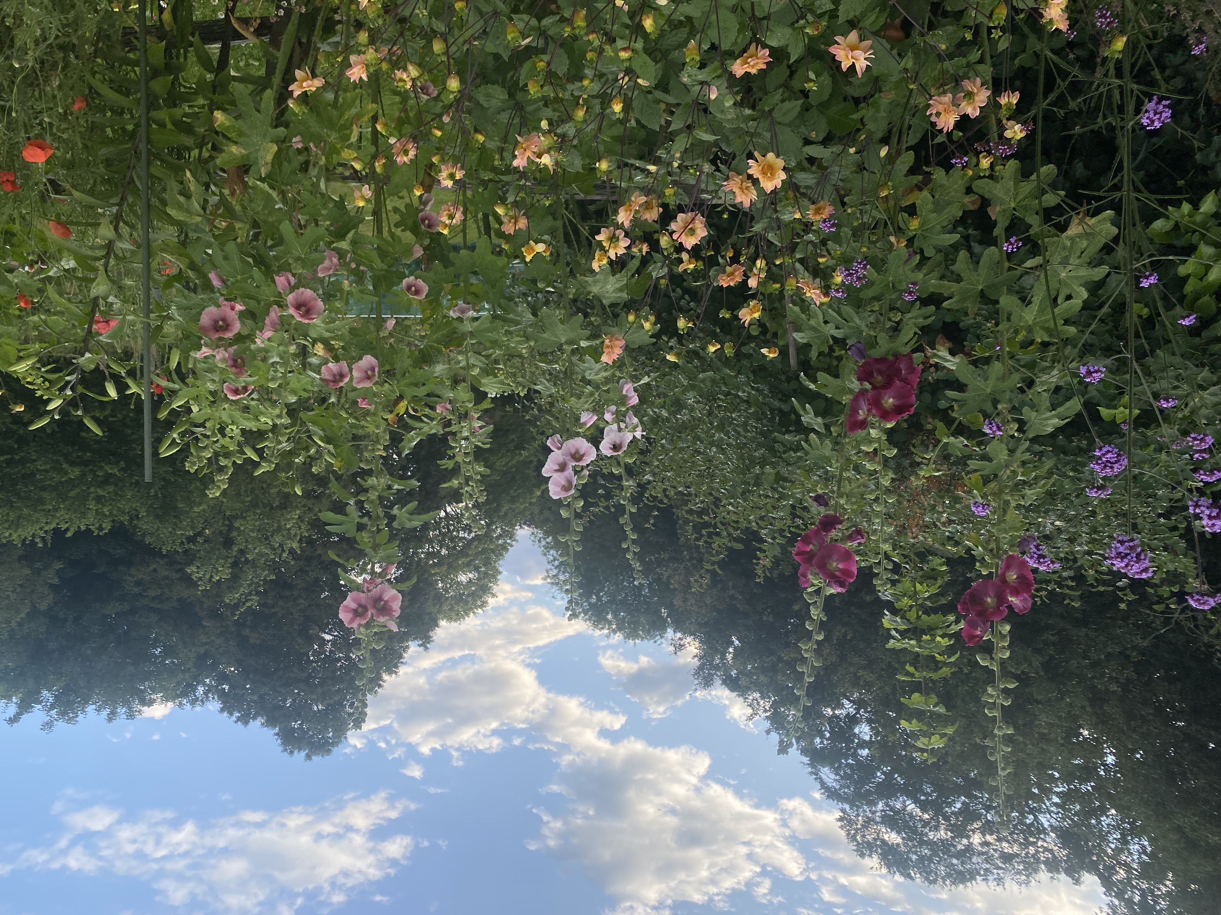 Translations of Baroque Song